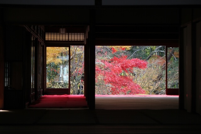 【初心者向け】京都の茶道体験ができる場所をご紹介