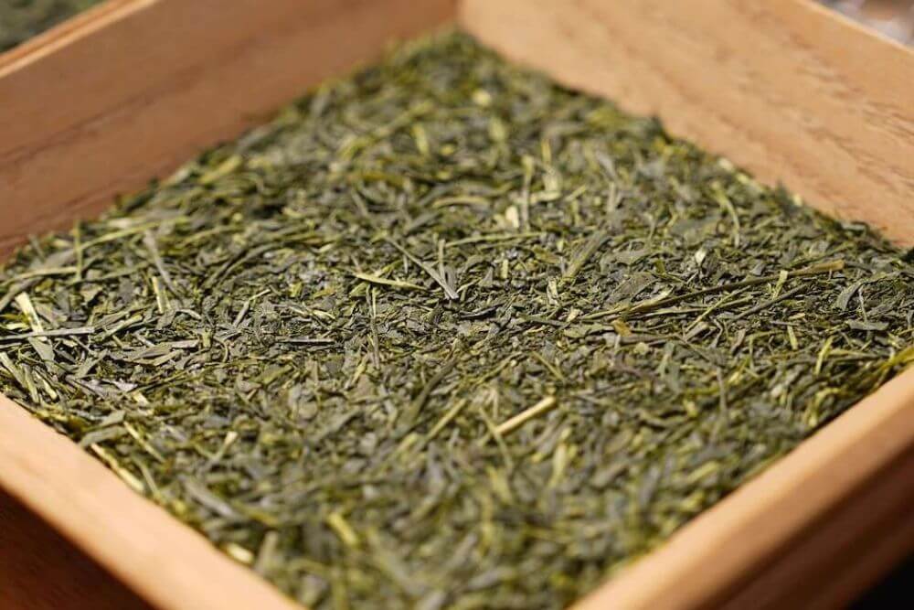 若者たちが紡ぐ、新しい茶道のかたち ― 空円プロジェクト 〜一杯のお茶がつなぐ円づくり〜_1